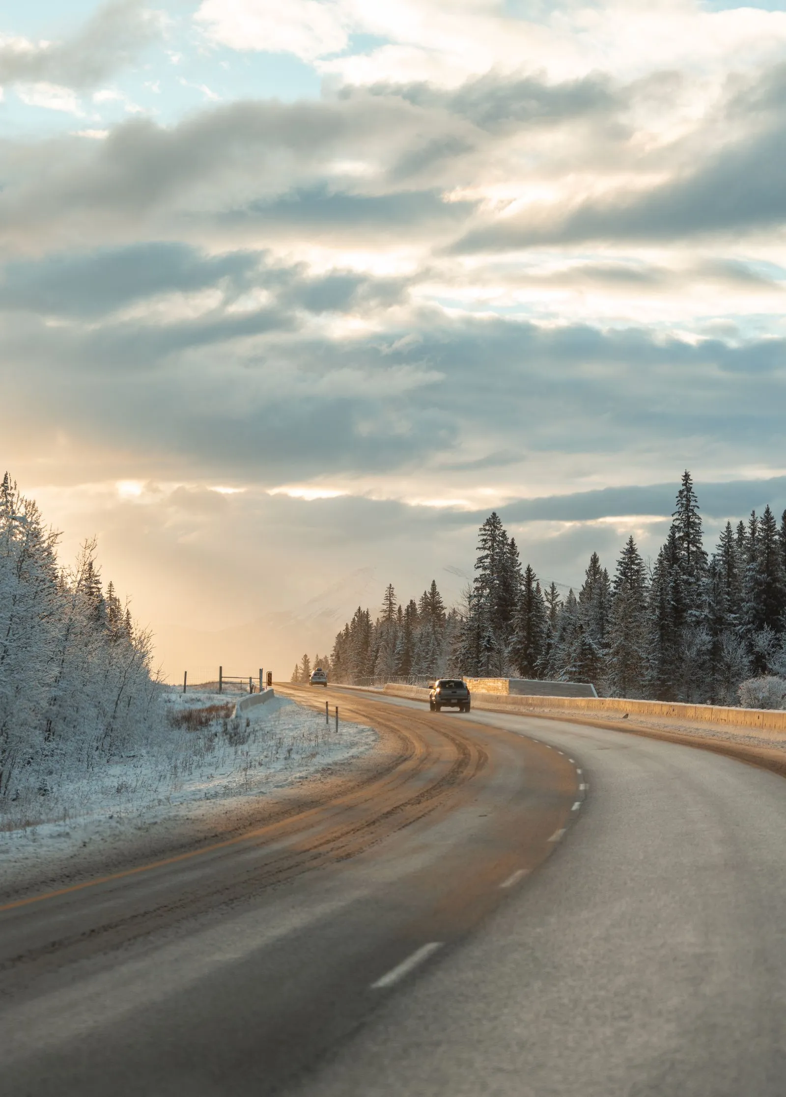Cars travelling along a winter highway lined with snow-covered evergreens in Banff, Canada